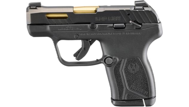 Ruger LCP max 380ACP